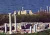 THE CITY OF CHERSONESE TAURICA, 5 B.C