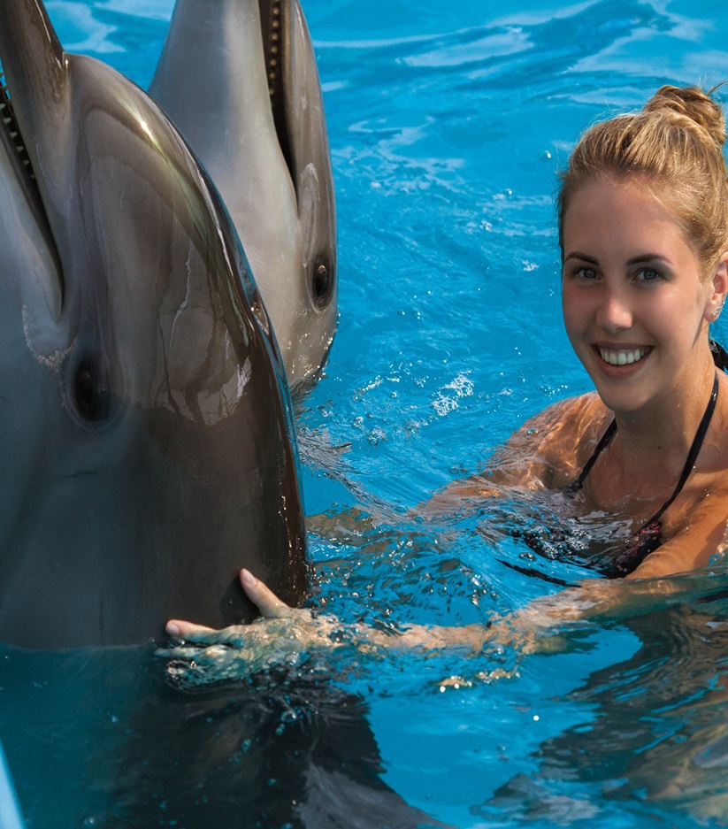 Dolphinarium Nemo Dolphinarium Nemo